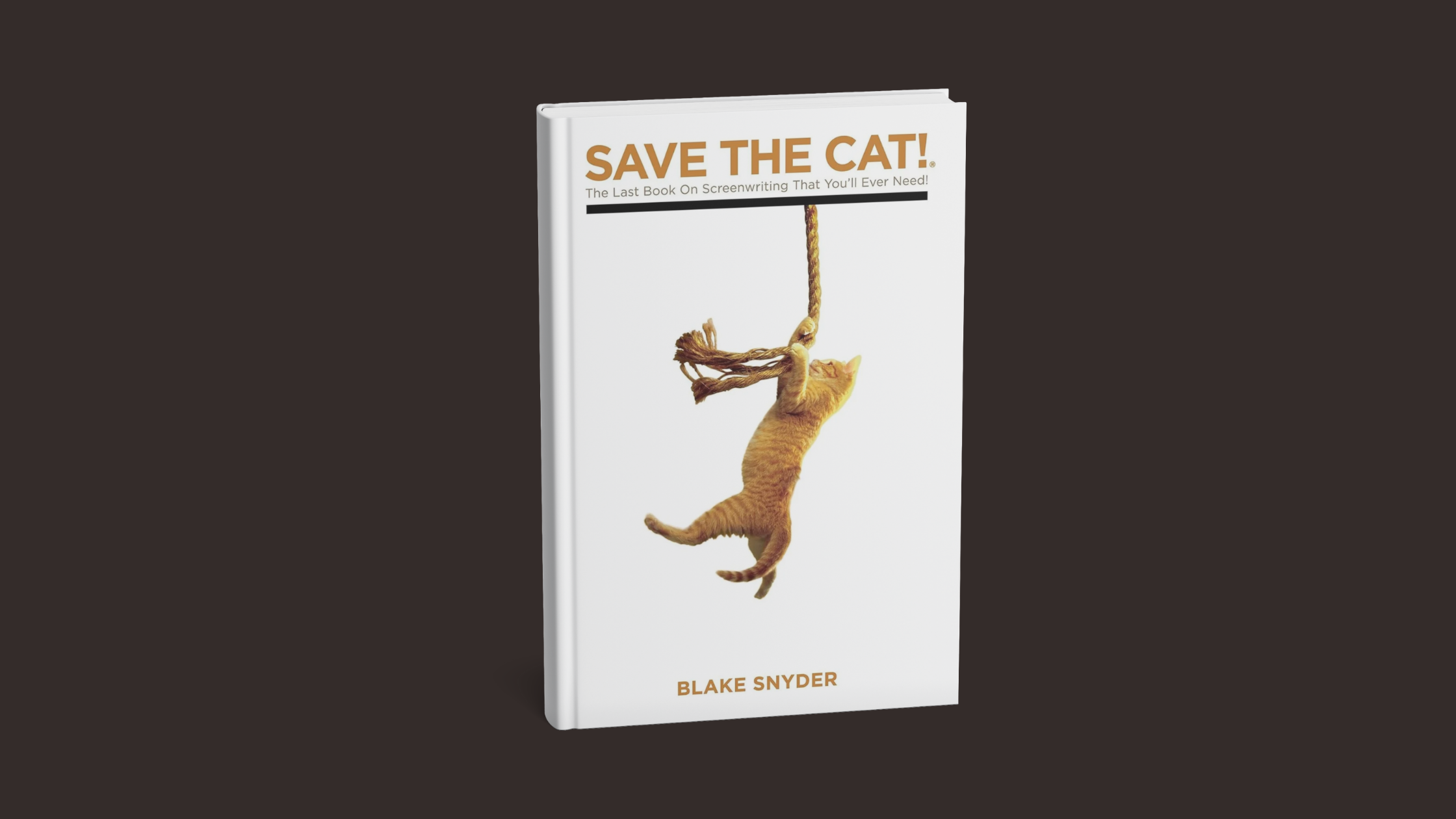 Save the Cat Beat Sheet: The Complete Guide for Writers (2025)
